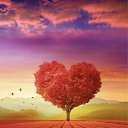 ���� Orlica, ������ - ��������� 28 ���� 2024 � ������ ������ ��������