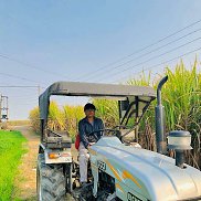 David, 24 ����, ����