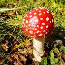 ���� ���������, ���� - ��������� 15 ������� 2024 � ������ ���� ����������