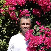 ������, 53 ����, ����������