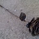 ���� Andrey, �����������, 43 ���� - ��������� 23 ������ 2024 � ������ ���� ����������