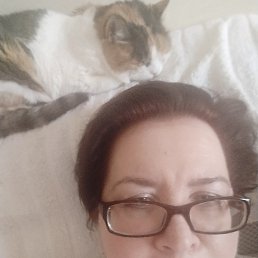 Gala, �����������