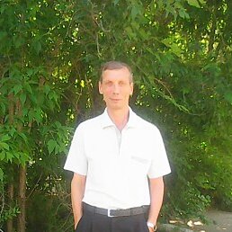 ���������, ������, 65 ���