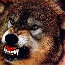 ���� �������, �����, 38 ��� - ��������� 25 ��� 2025 � ������ ���� ����������