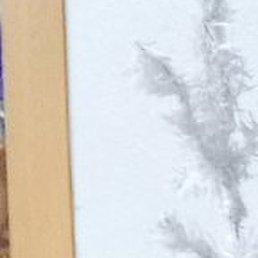 ��������, ������, 62 ����