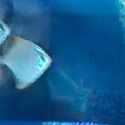 ������, 51 ���, ������