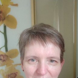 , 48, 