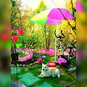  ,   -  3  2025    . -. 