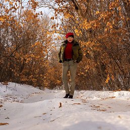 �����, ���������