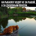 ���� �����, ���� - ��������� 4 �������� 2026 � ������ ������ ��������