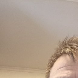 ���������, ������, 53 ����