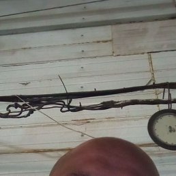 ��������, ������, 44 ����