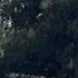 �����, �������, 62 ����