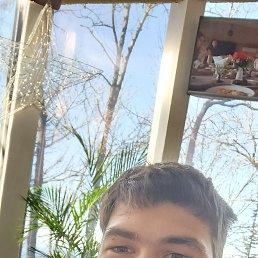 �����, 24 ����, ������