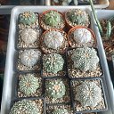 ���� �������, �����, 62 ���� - ��������� 13 ������ 2024 � ������ ���� �����