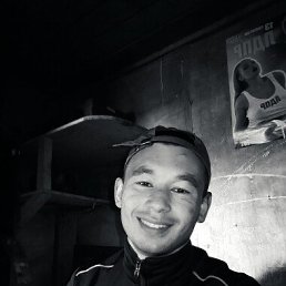 , 26, 