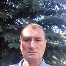 �����, 49 ���, ���