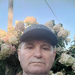 �������, 65 ���, �����������