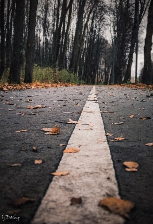 Ivan Vyatich - 6 ������ 2024 � 13:01