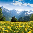 ���� �������, �����������, 49 ��� - ��������� 28 �������� 2025