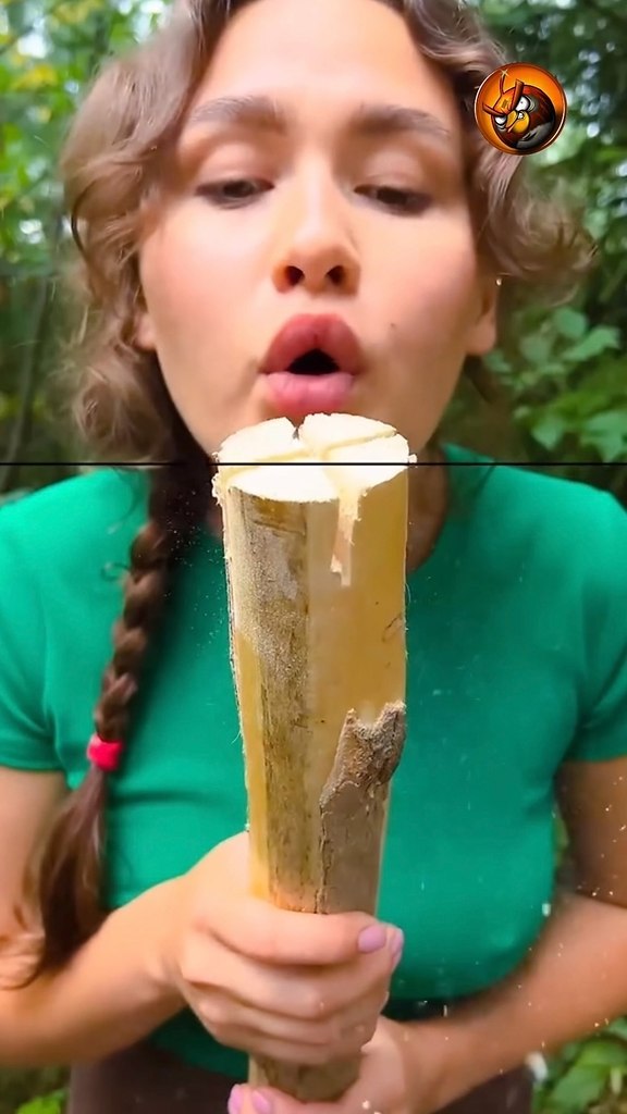 ������ �����������