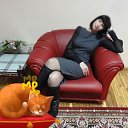 ���� �������, ��������, 48 ��� - ��������� 2 ������ 2025 � ������ ���� ����������