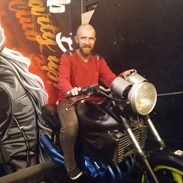 , 54, 