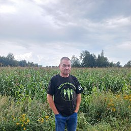 ���� �����, �������, 55 ��� - ��������� 11 �������� 2024