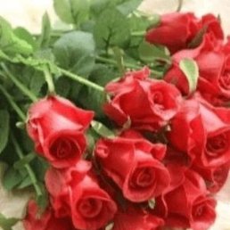 Gaia, �������, 46 ���