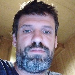 ���������, ������, 41 ���