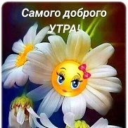 , 37 , 