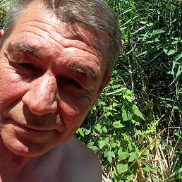 ����, ����������, 53 ����