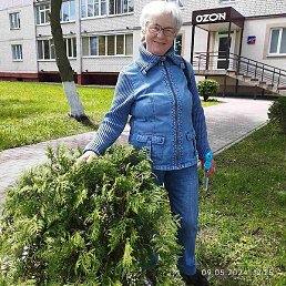 �������, �������, 66 ���