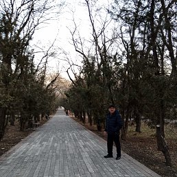 ���� ���������, �����, 56 ��� - ��������� 21 ���� 2025