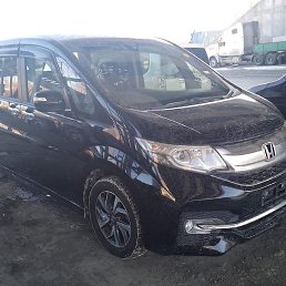 ����, �������-���������, 44 ����