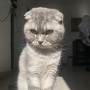 ���� ����, ����-����, 40 ��� - ��������� 16 ������ 2025 � ������ ������ ��������