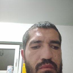 ����� �����, 26 ���, ���������