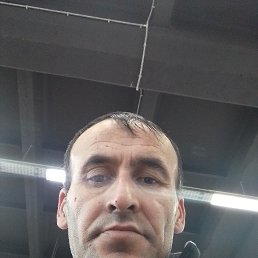  , 41, 