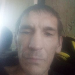 ������, �����, 46 ���