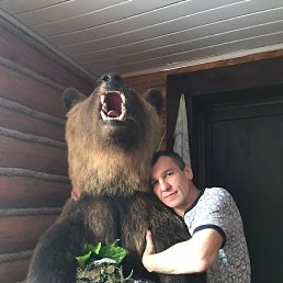 ������, ����