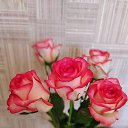 ���� ������, �������, 66 ��� - ��������� 6 ������ 2025 � ������ ���� ����������