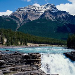 ������, ������, 72 ����