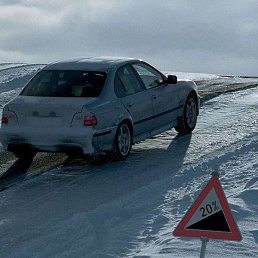 ����, ���������, 44 ����