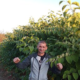 ���� ������ ���������, ������, 45 ��� - ��������� 21 ������ 2025