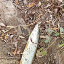 ���� ����, ������, 61 ��� - ��������� 14 ������� 2024 � ������ ���� ����������