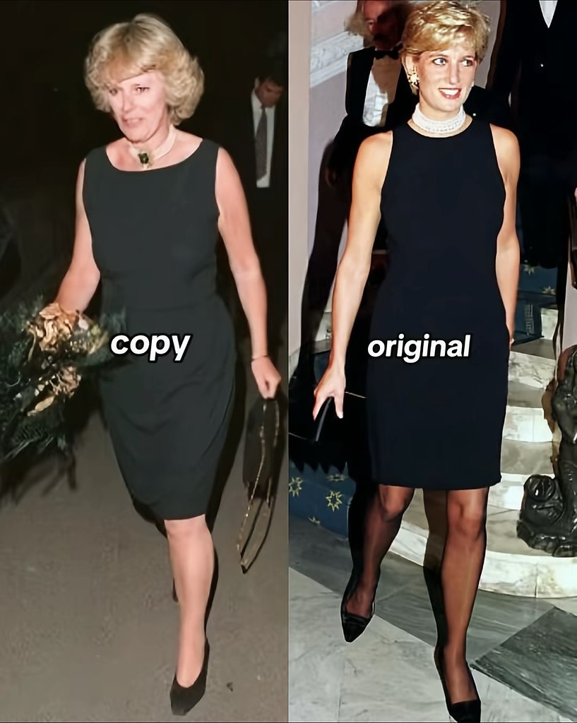 ��a ���a ���ec�o�. �o��ac��? ����� ������� - 8