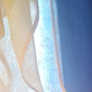 ��������, 51 ���, �����������