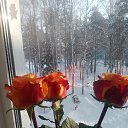 ���� �����, ������ ��������, 63 ���� - ��������� 16 ����� 2024 � ������ ���� ����������