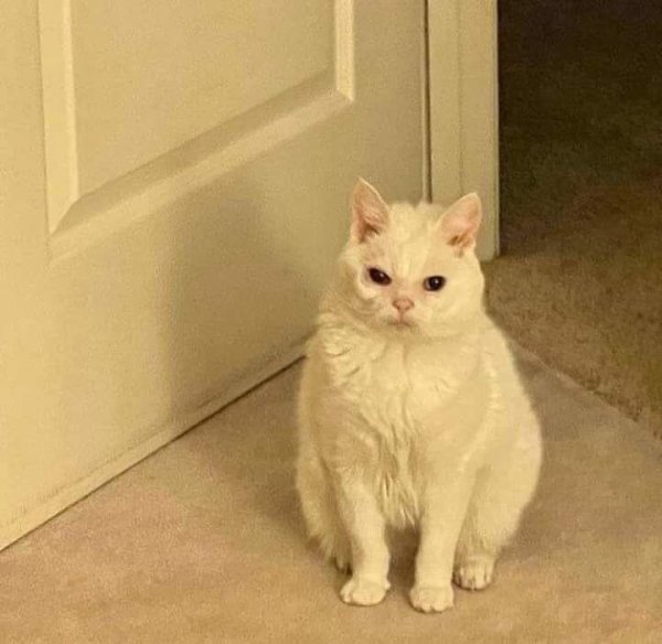   :