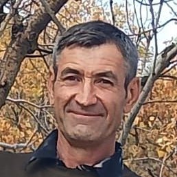 �����, ���������, 55 ���